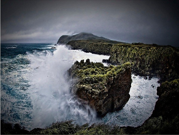 Cuộc[-]sống[-]ở[-]các[-]hòn[-]đảo[-]của[-]riêng[-]mèo,[-]thỏ,[-]chuột[-]17